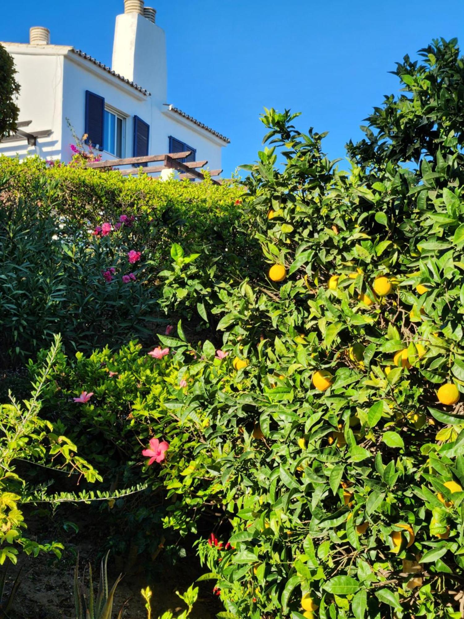 Elena Flat Lovely Paradise Above The Sea Ситио-де-Калаонда Экстерьер фото